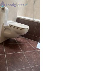Loodgieter Sanibroyeur Sanibroyeurknop werkt niet goed