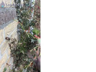 Loodgieter Almere Kapotte buitenkranen vervangen