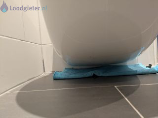 Loodgieter Sanibroyeur Vermoedelijk lekkage bij sanibroyeur