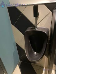 Loodgieter Toilet afvoer vervangen Urinoirs stankoverlast weg halen