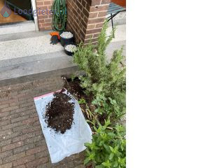 Loodgieter Reparatie riool Reparatie riool
