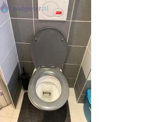 Loodgieter Inbouw toilet vervangen Inbouw toilet vervangen