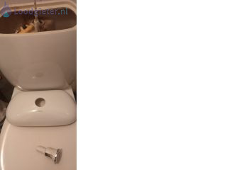 Loodgieter Langzaam vullend inbouw reservoir Langzaamvullend toilet